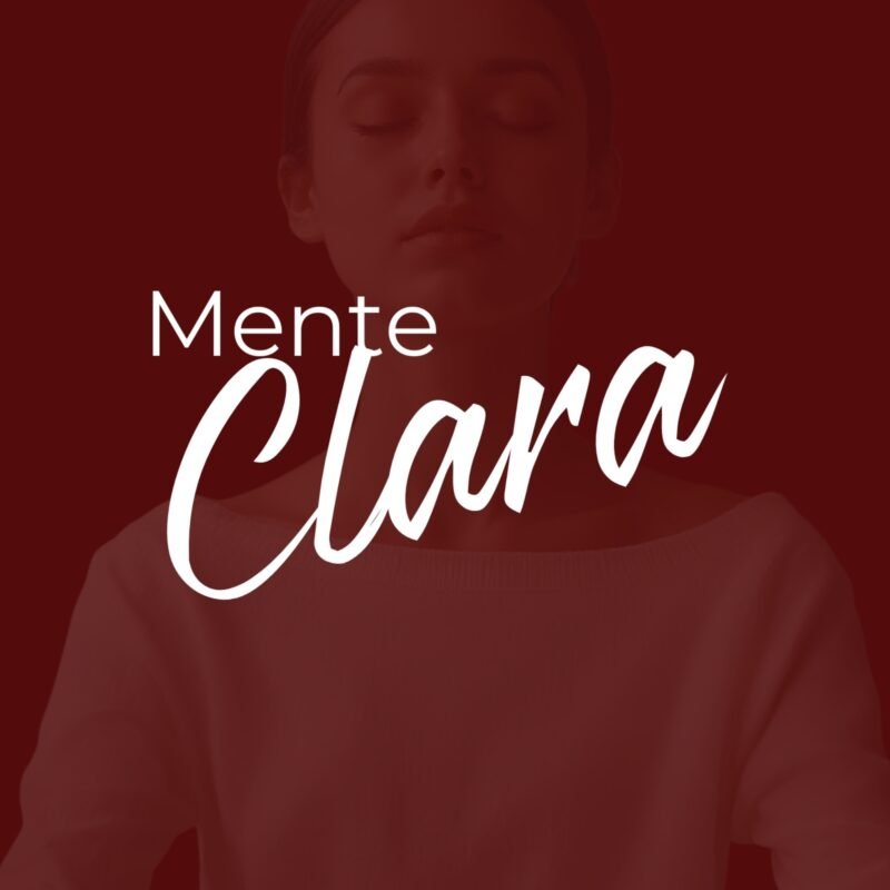 Guia Mente Clara, estrategias de productividad.